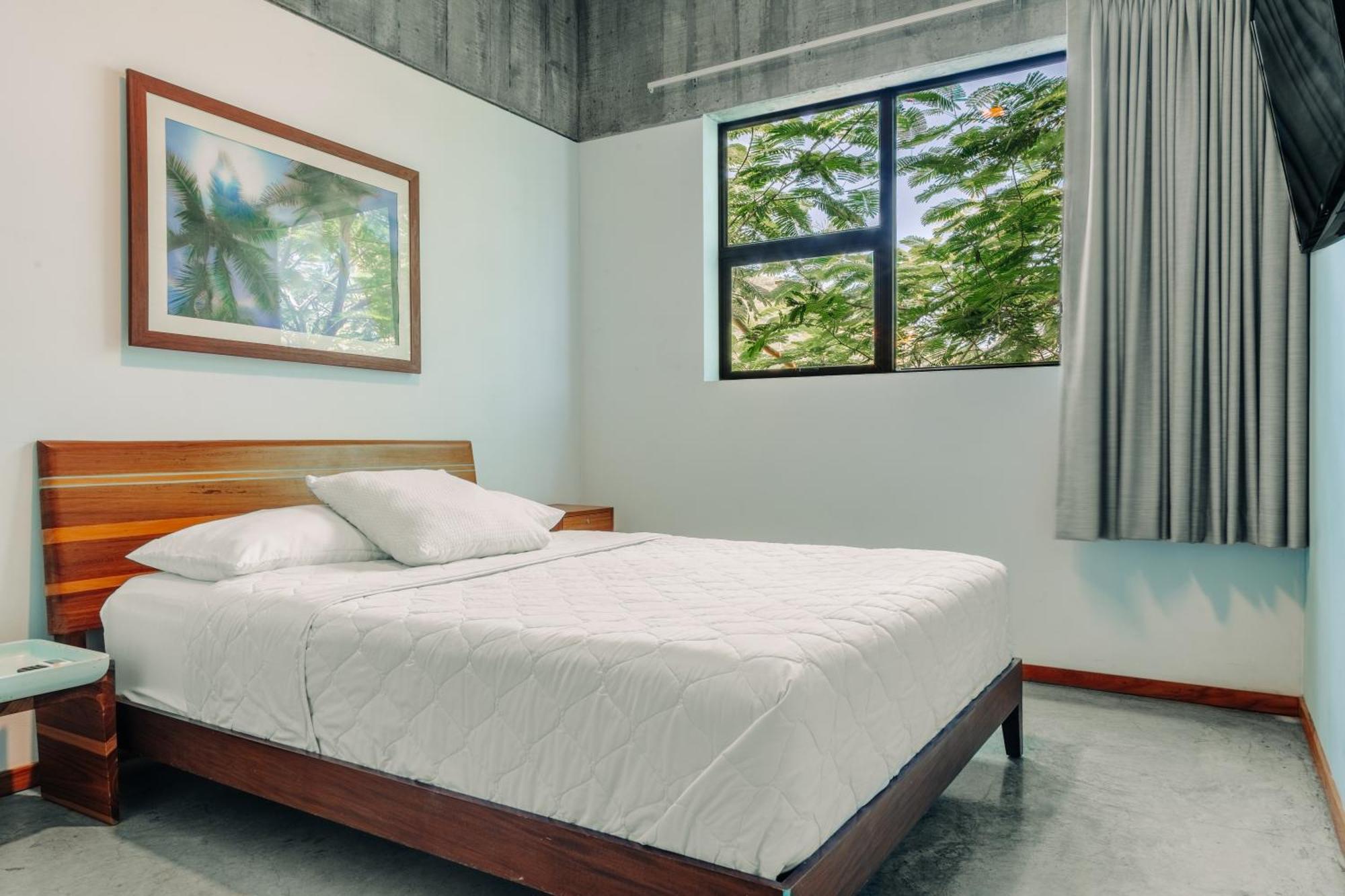 Puro Surf Hotel 엘 존테 외부 사진